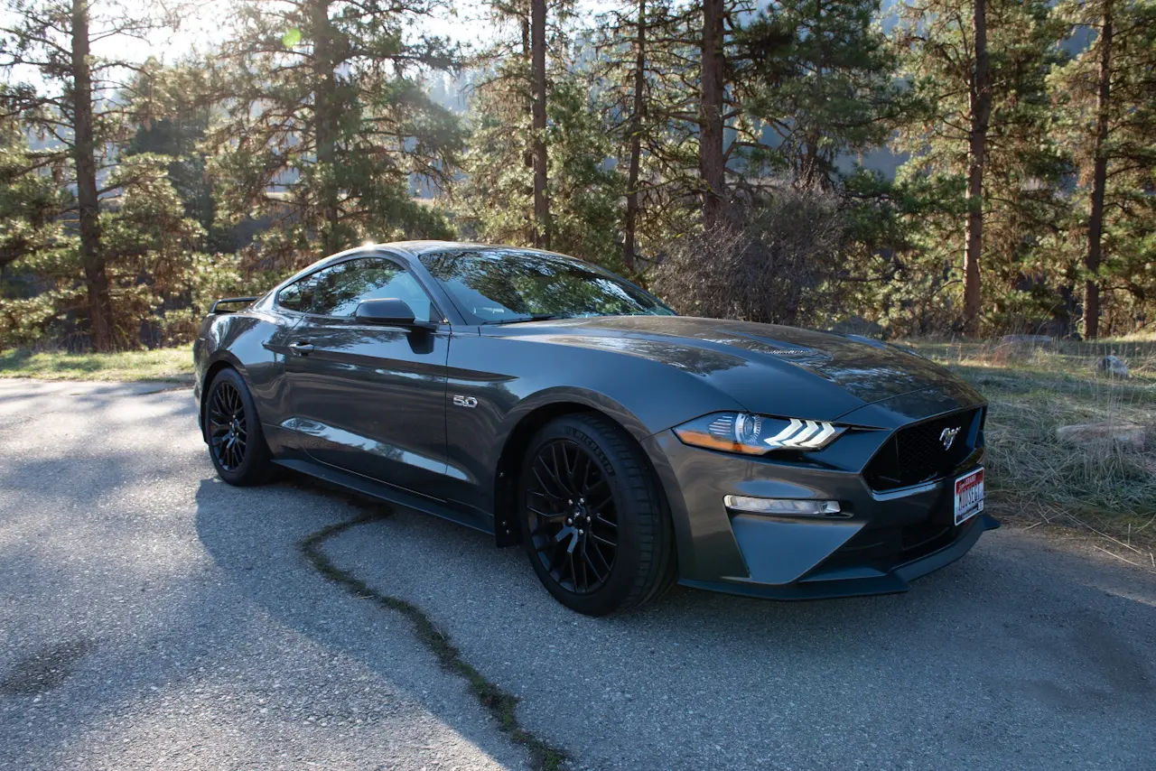 2019%20Mustang%20GT%20PP1%20backlit%20by%20the%20rising%20sun.