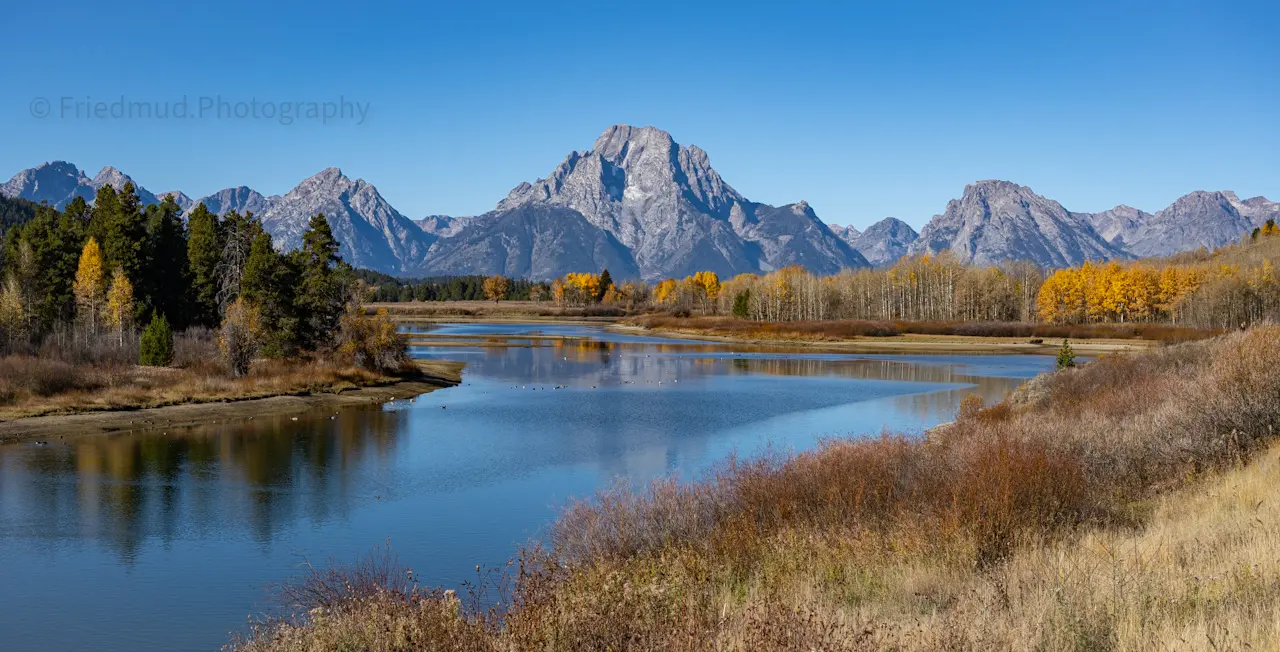 Mt.%20Moran%20looms%20in%20the%20distance%20as%20fall%20takes%20hold%20in%20Yellowstone%20National%20Park.