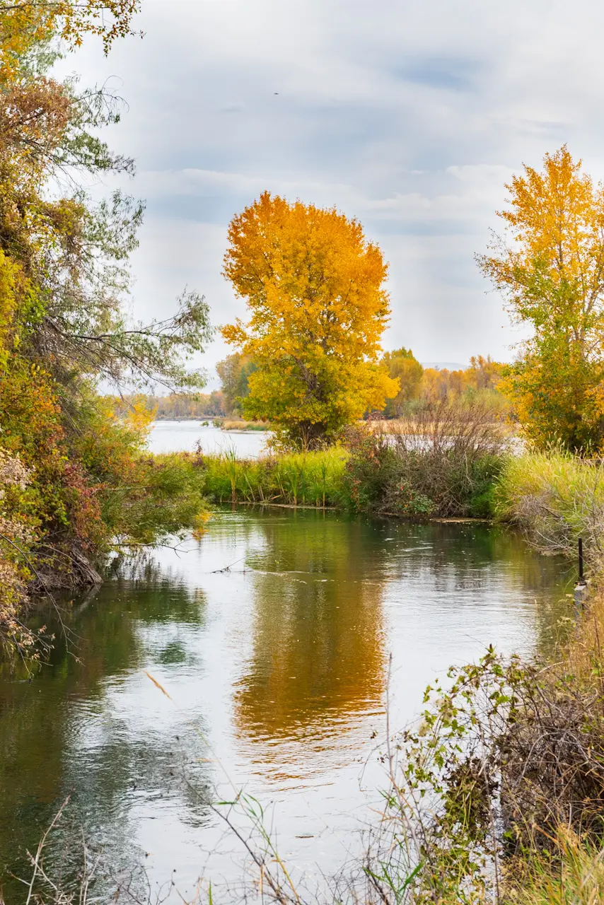 A%20particularly%20bright%20tree%20stands%20at%20the%20end%20of%20a%20bend%20in%20the%20canal.%20%20There%20was%20some%20light%20rain%20falling%20to%20set%20the%20fall%20mood.