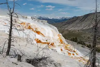 The%20enormous%20Canary%20Spring%20near%20Mammoth%20in%20Yellowstone%20National%20Park.