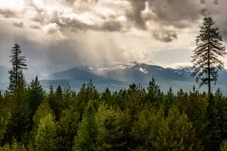 Sun%20rays%20shine%20through%20the%20clouds%20to%20illuminate%20the%20rain%20on%20a%20mountain%20in%20Condon%2C%20Montana.