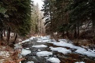 A%20tranquil%20creek%20beginning%20to%20freeze%20in%20the%20early%20winter%20outside%20Jackson%2C%20WY.