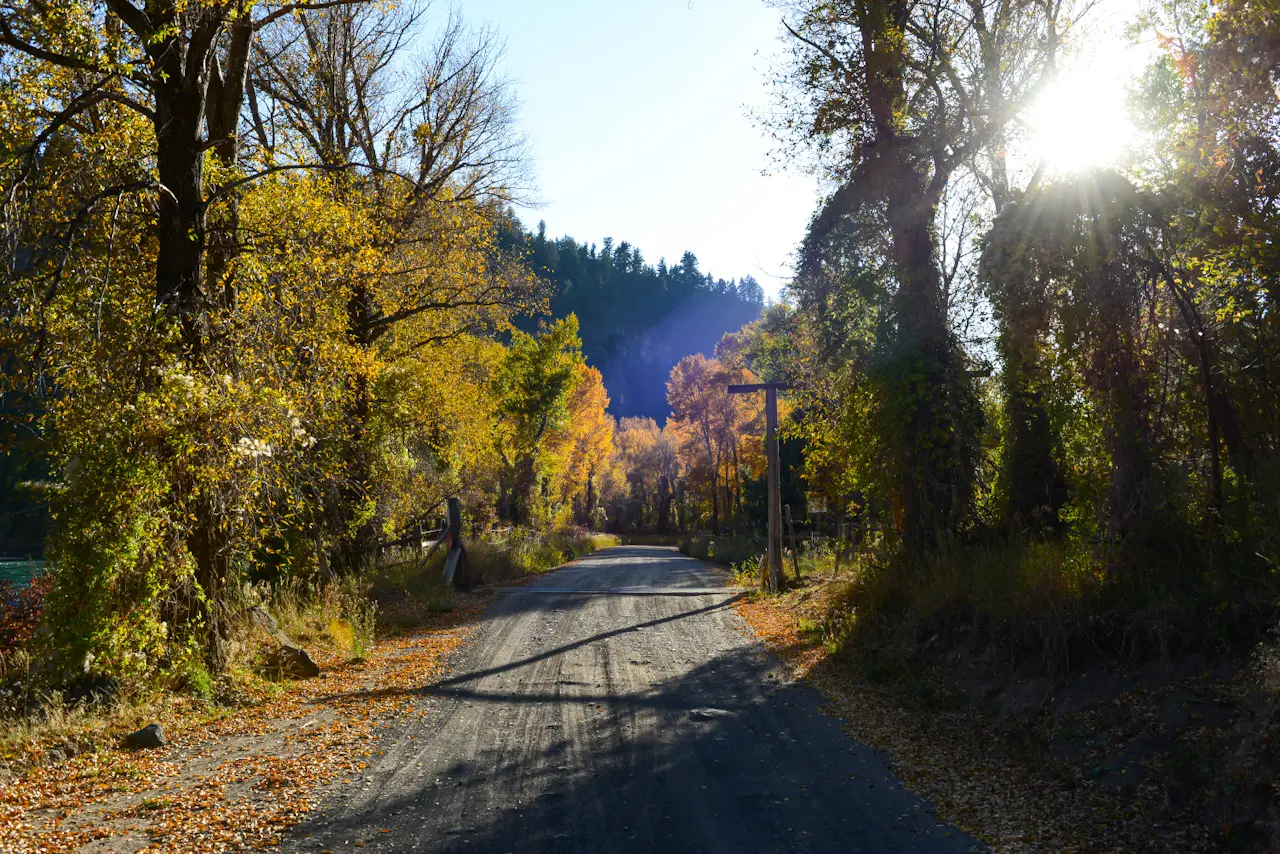 Setting%20sun%20peaks%20through%20the%20fall%20trees%20on%20a%20dirt%20road%20along%20the%20Snake%20River%20near%20Heise%2C%20ID.