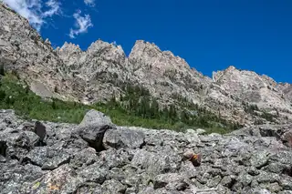 Incredible%20rock%20texture%20against%20a%20perfectly%20blue%20sky%20in%20Cascade%20Canyon%20in%20Teton%20National%20Park.