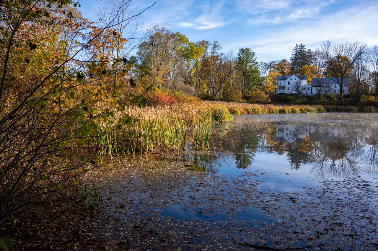 The%20sun%20rises%20over%20a%20pond%20in%20the%20New%20England%20fall.