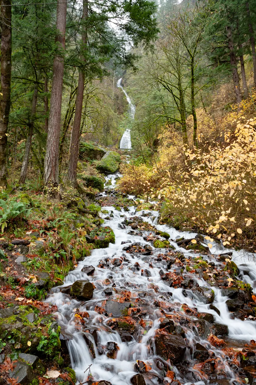 A%20waterfall%20along%20the%20Historic%20Columbia%20River%20Highway%20in%20OR