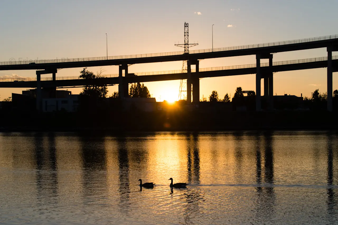 Two%20ducks%20captured%20in%20the%20calm%20of%20the%20early%20morning%20on%20the%20Willamette%20River%20in%20Portland%20Oregon.