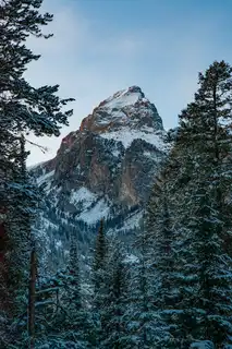 The%20Grand%20Teton%20peaking%20through%20the%20trees%20along%20Taggart%20Trail%20in%20Ground%20Teton%20National%20Park.