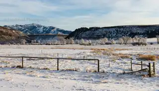 Taken%20on%20the%20way%20to%20Jackson%20Wyoming.%20%20It%20was%20brutally%20cold%2C%20near%200%20degrees%20F.%20%20The%20warm%20river%20was%20creating%20a%20beautiful%20mist%20that%20was%20intertwining%20with%20the%20frozen%20trees.