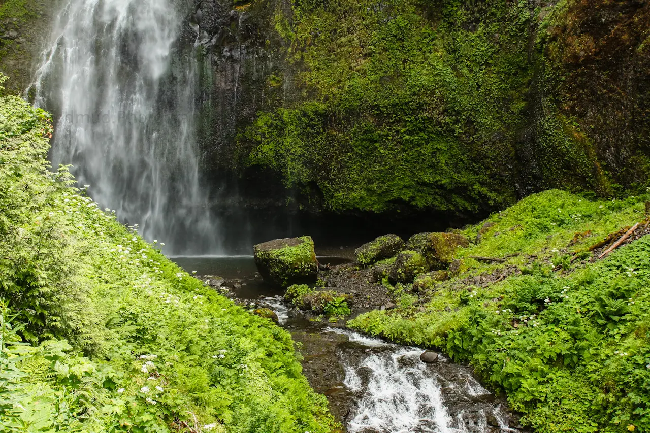 Waterfall%20in%20the%20lush%20Columbia%20River%20Gorge