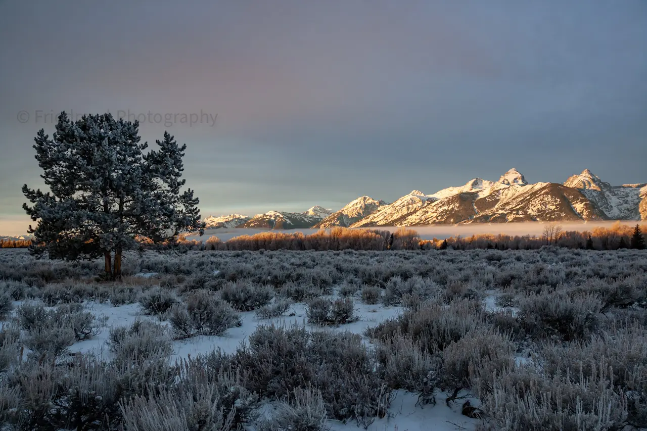 The%20early%20light%20slices%20across%20the%20valley%20and%20illuminates%20the%20Teton%20Mountains%20in%20Grand%20Teton%20National%20Park.