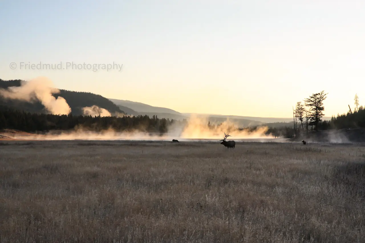 Taken%20on%20the%20Madison%20River%20near%20the%20west%20entrance%20to%20Yellowstone.%20%20It%20was%20an%20incredibly%20cold%20morning%20%28around%2010%20degrees%20F%29%20which%20made%20mist%20rise%20from%20the%20somewhat%20warmer%20water%20%28and%20subsequently%20settle%20and%20freeze%20on%20me%21%29.